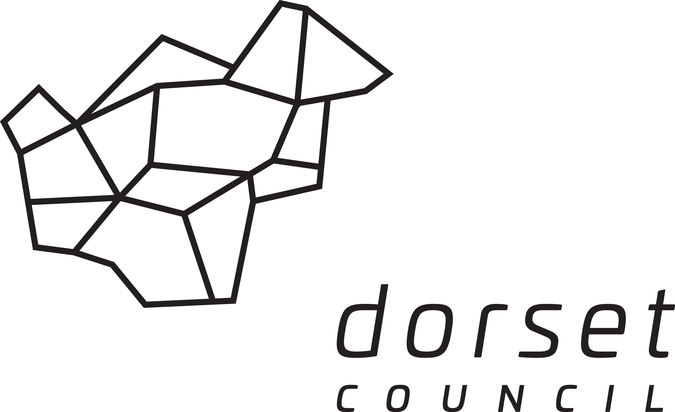 Dorset Council logo